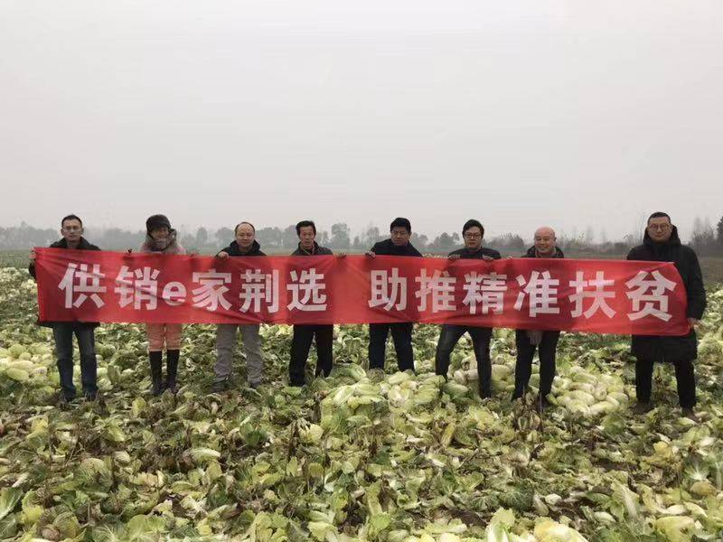 Betway必威集团暖冬行动暖农心_集团动态_Betway必威