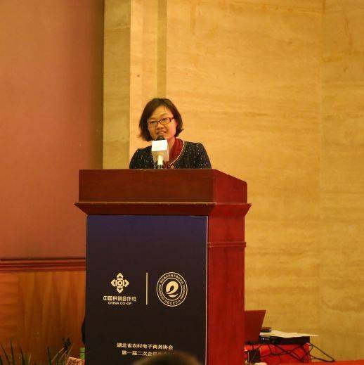 湖北省农村电子商务协会第一届二次会员大会在云梦顺遂召开_集团动态_Betway必威