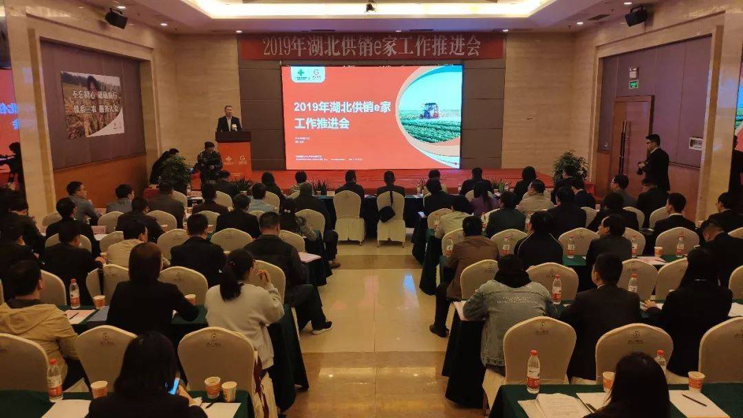 2019年湖北供销e家事情推进会在云梦顺遂召开_集团动态_Betway必威